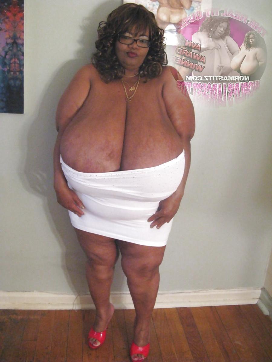 24P Tits 13 (norma stitz vol.1)