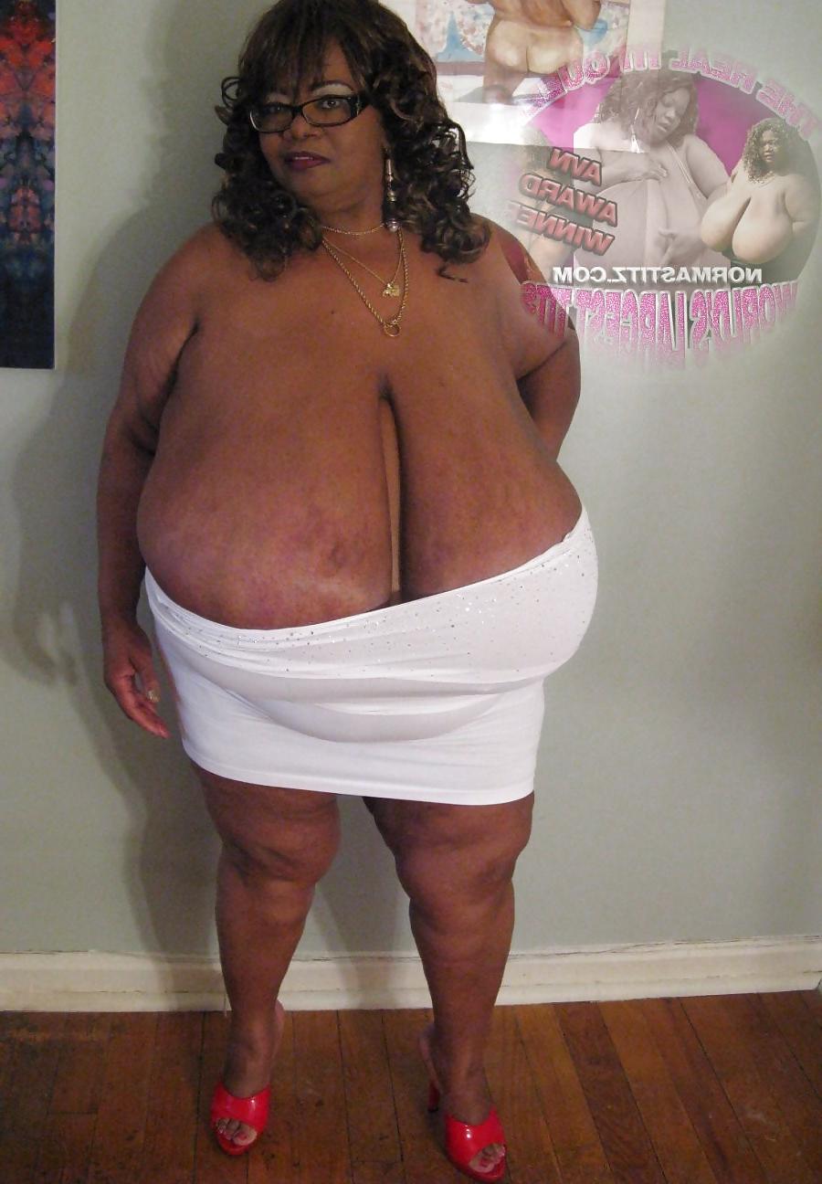 24P Tits 13 (norma stitz vol.1)