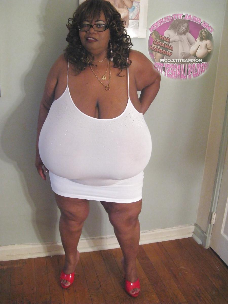 24P Tits 13 (norma stitz vol.1)