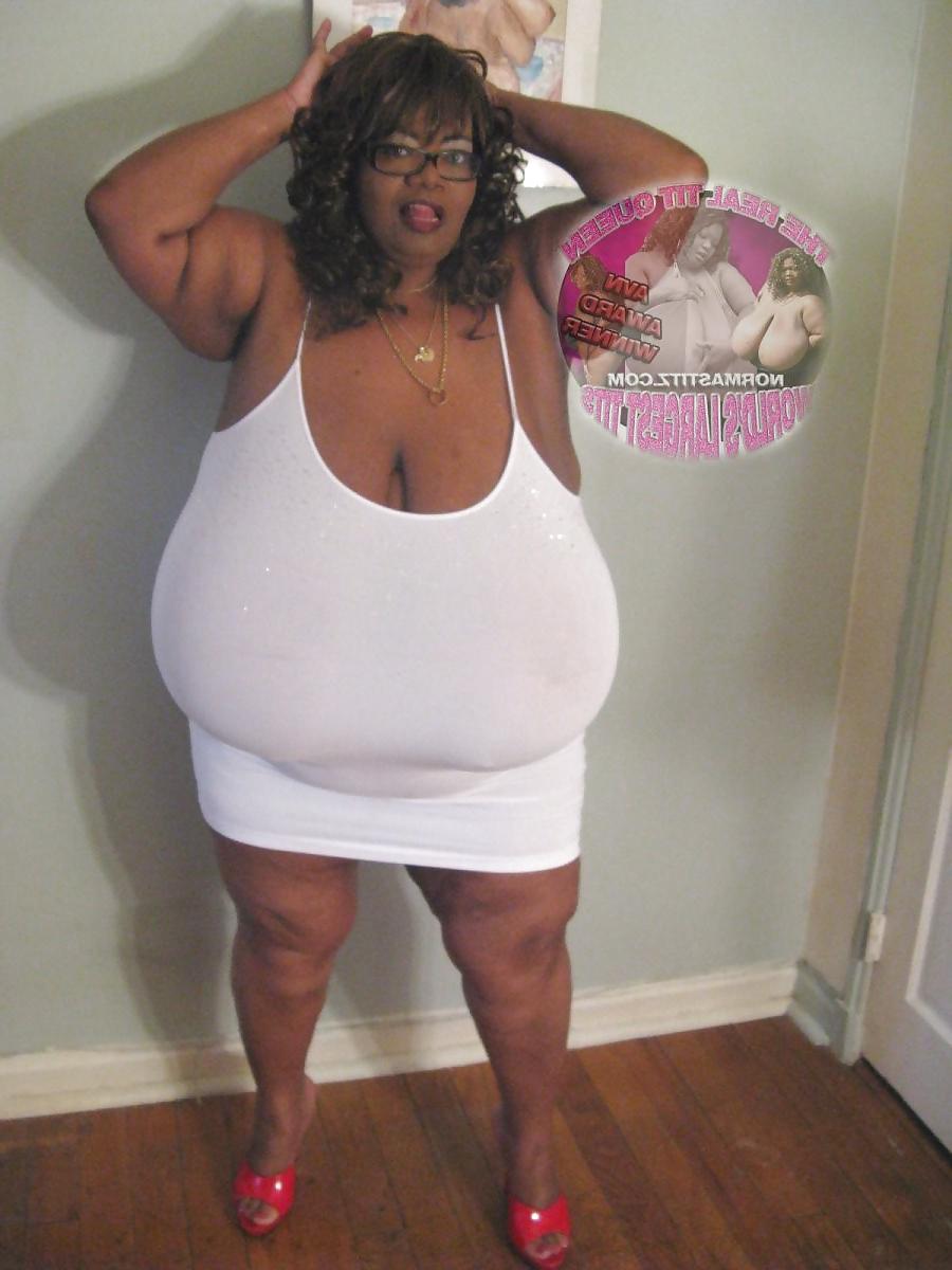24P Tits 13 (norma stitz vol.1)