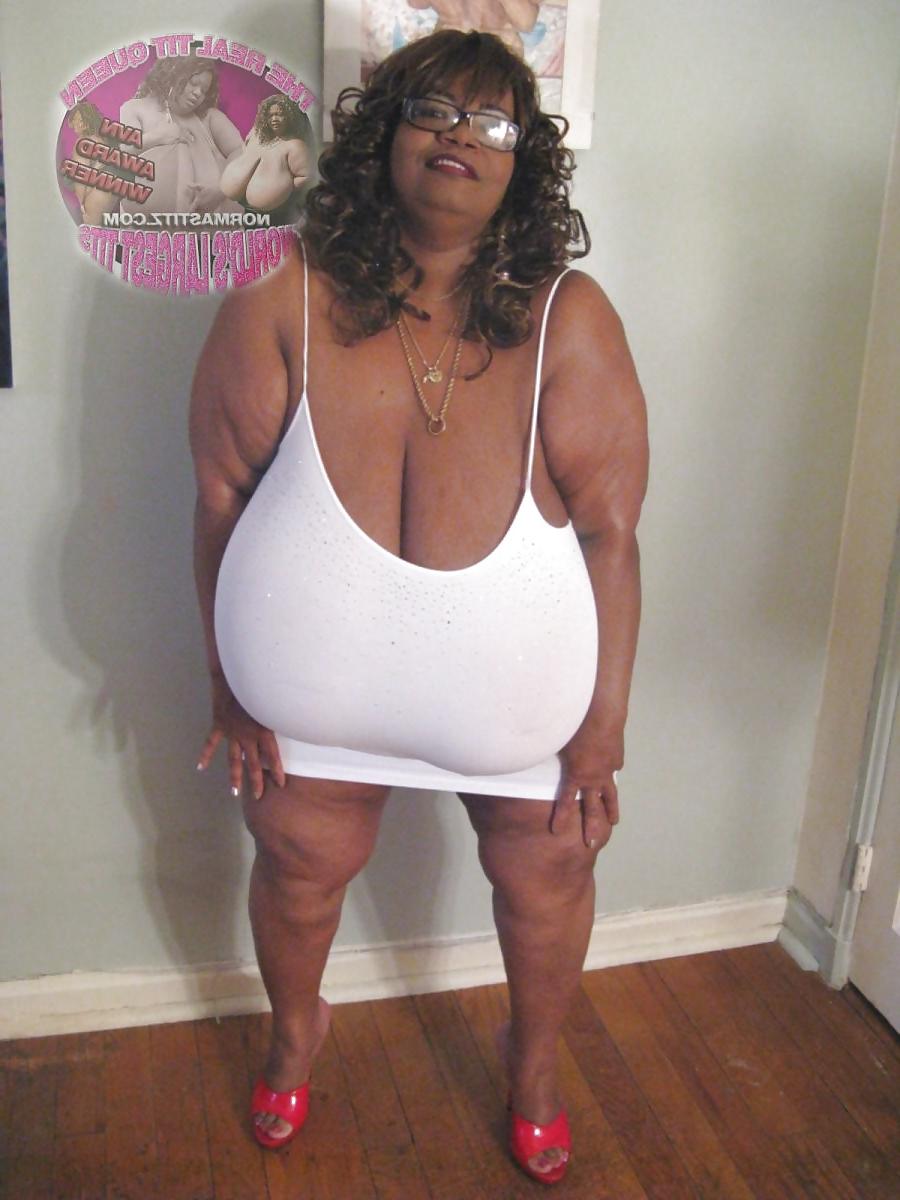 24P Tits 13 (norma stitz vol.1)