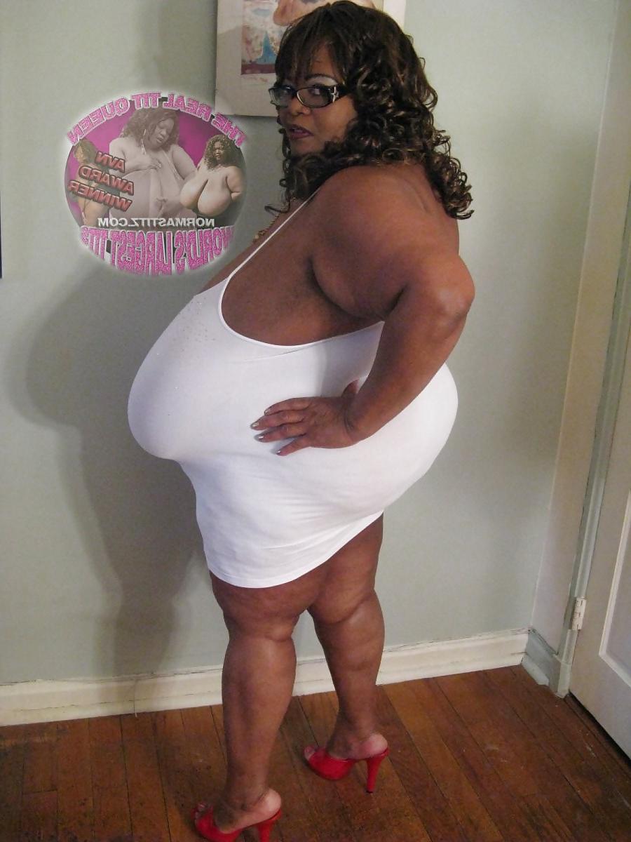 24P Tits 13 (norma stitz vol.1)