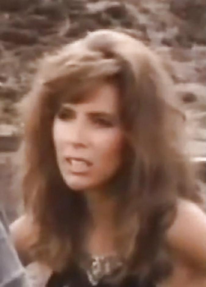 25P 80's Big Tit Star - Corrine Wahl 