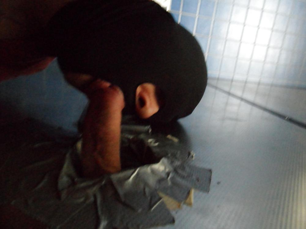 13P Gay Handwerker-Sau