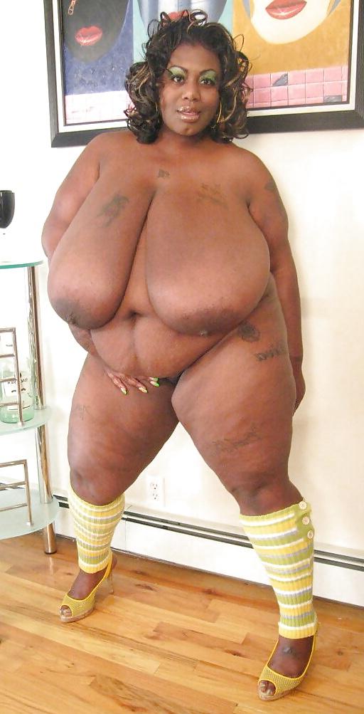 25P Mz Diva