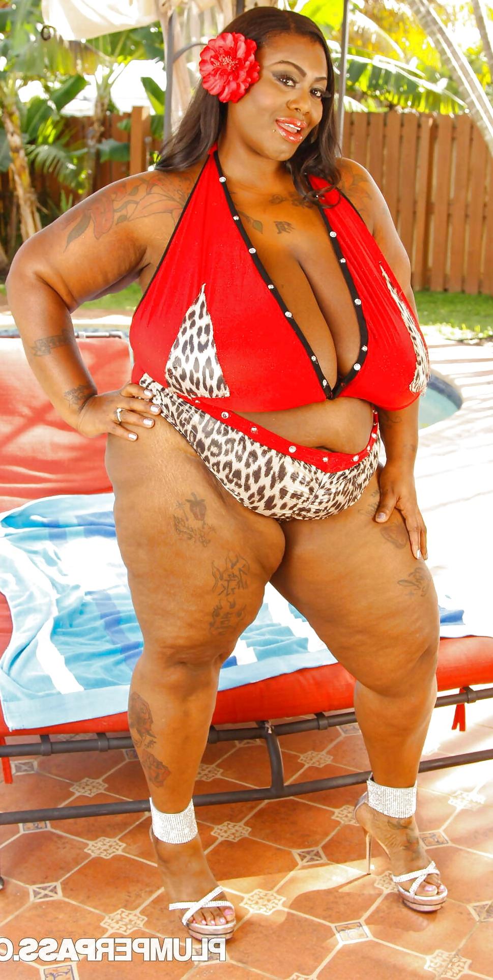 25P Mz Diva