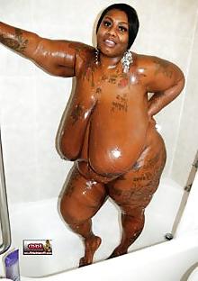 25P Mz Diva