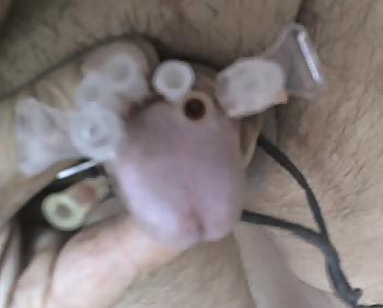 17P Meine CBT Kloeten