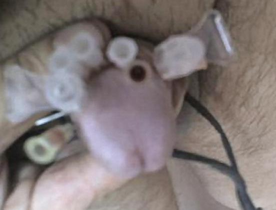 17P Meine CBT Kloeten