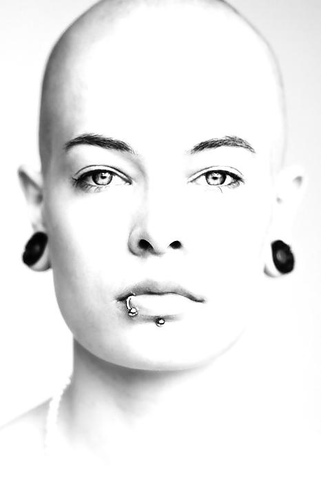 15P Found: bald heads (bold heads) 1