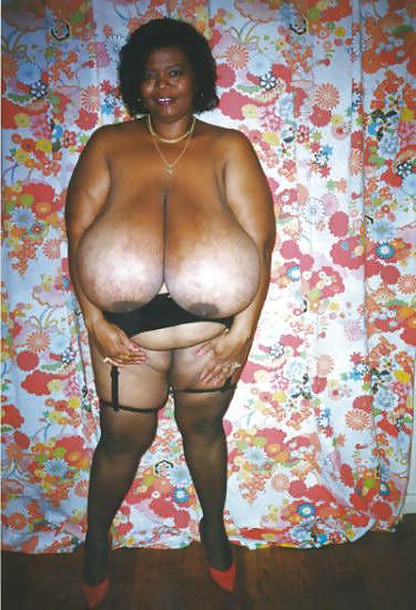 25P Amazing BBWs & SSBBWs #29 Norma Stitz