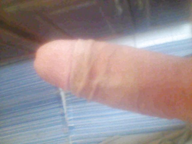 4P New pics from cell phone.