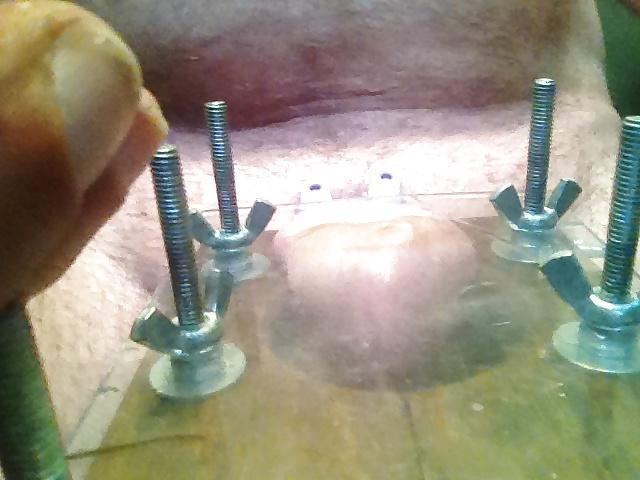 25P Tons of my self cbt