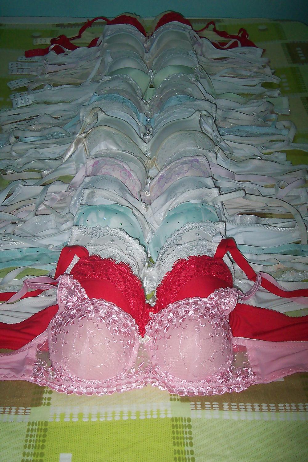 8P Bras Garden