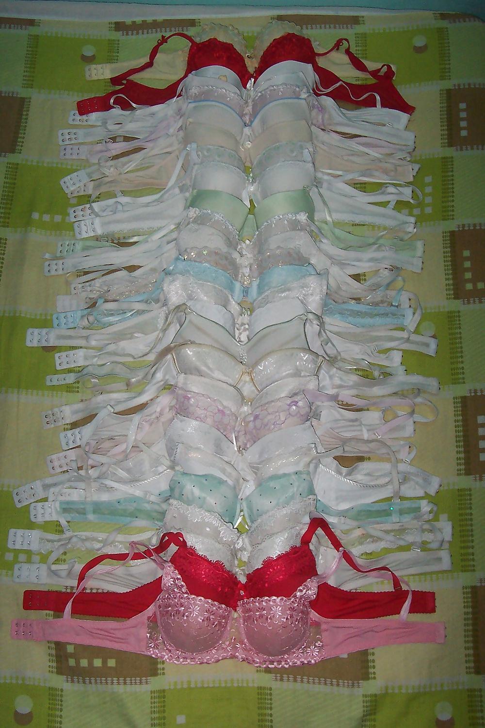 8P Bras Garden
