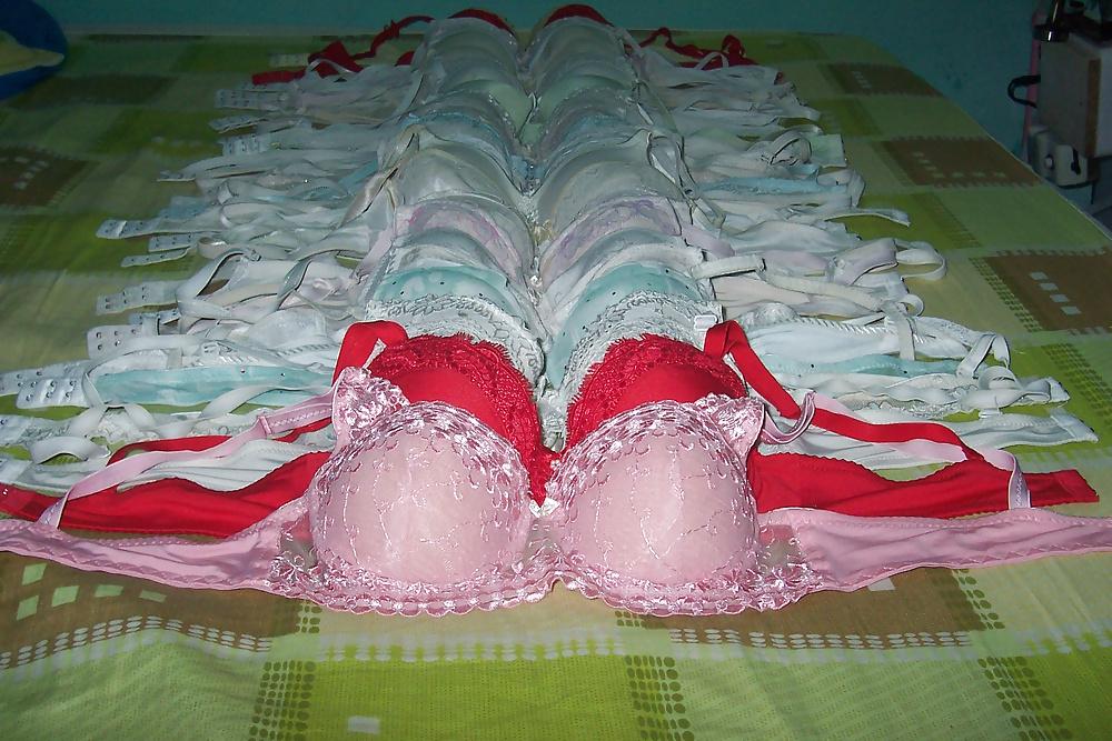8P Bras Garden