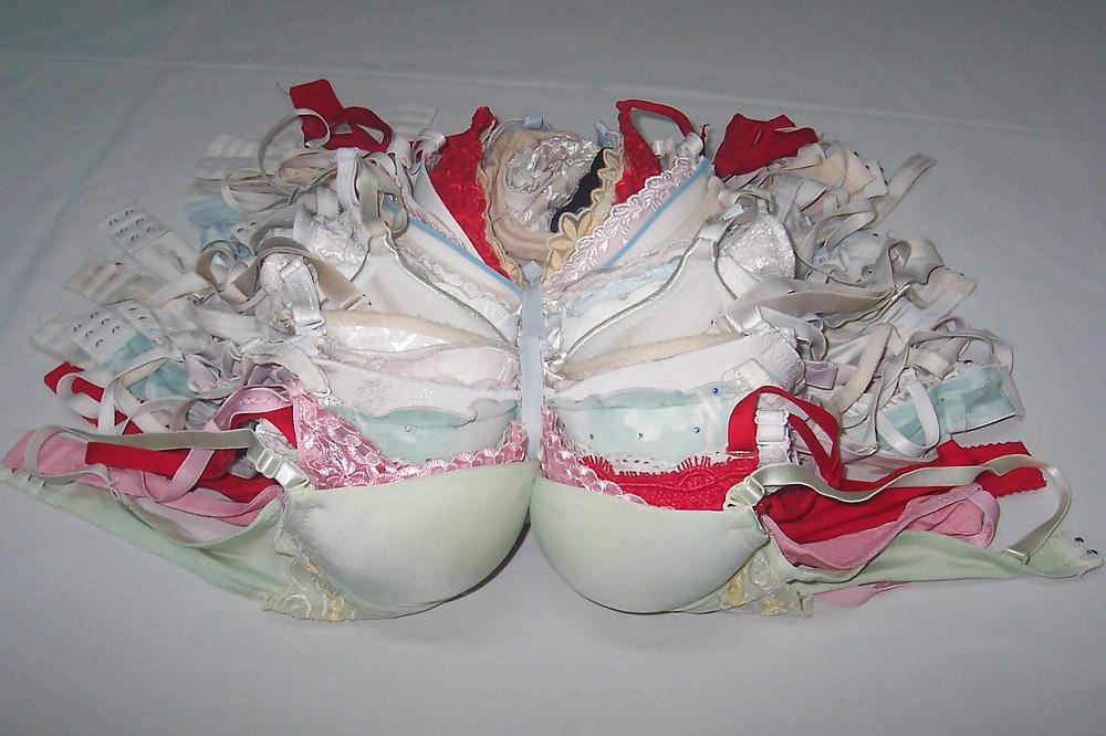 8P Bras Garden