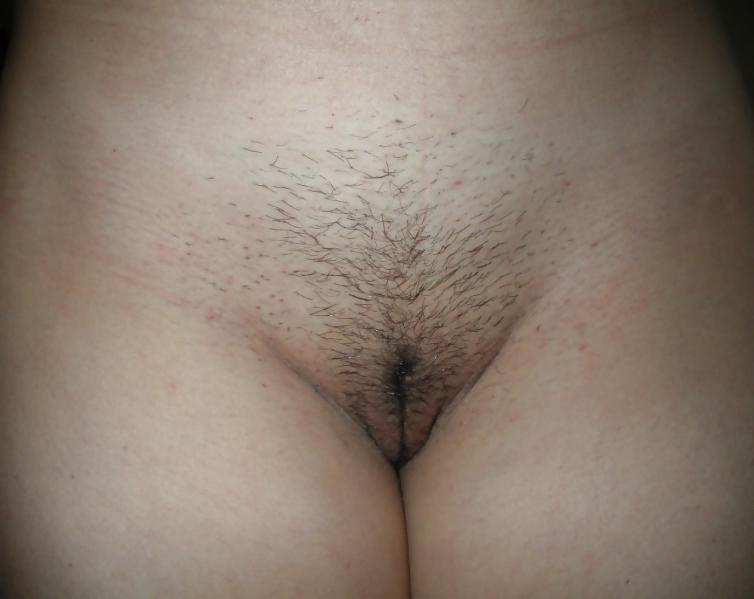 15P Miss S  - From Bold to Hairy for Passion 
