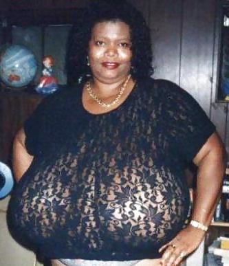 24P Tits 14 (norma stitz vol. 2)