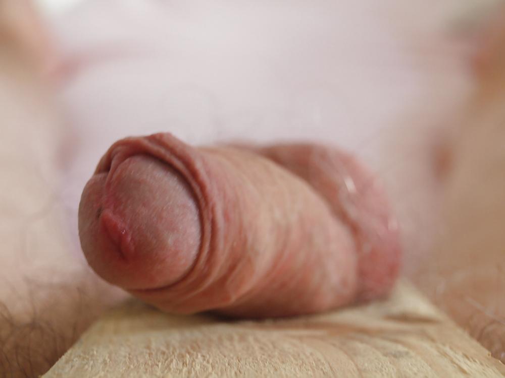 8P Small cock on a board 2