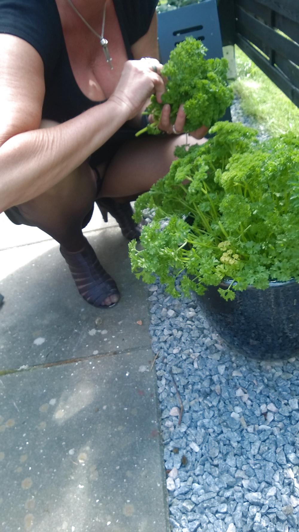23P Black pantyhose in garden