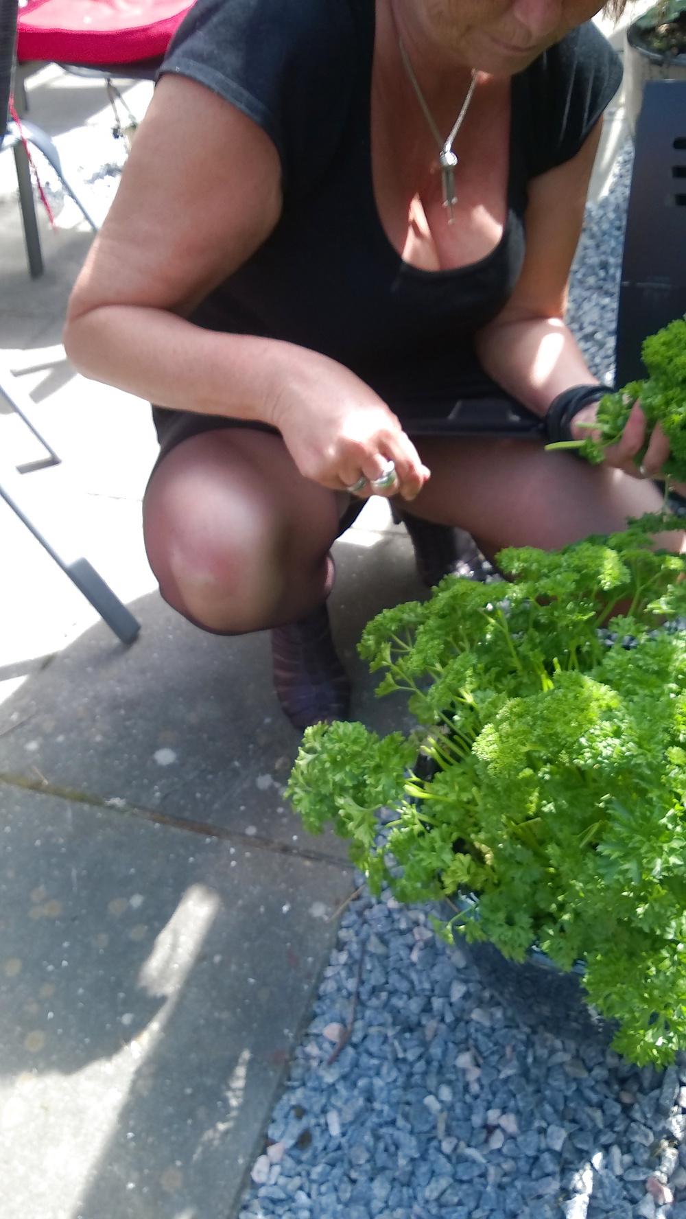 23P Black pantyhose in garden