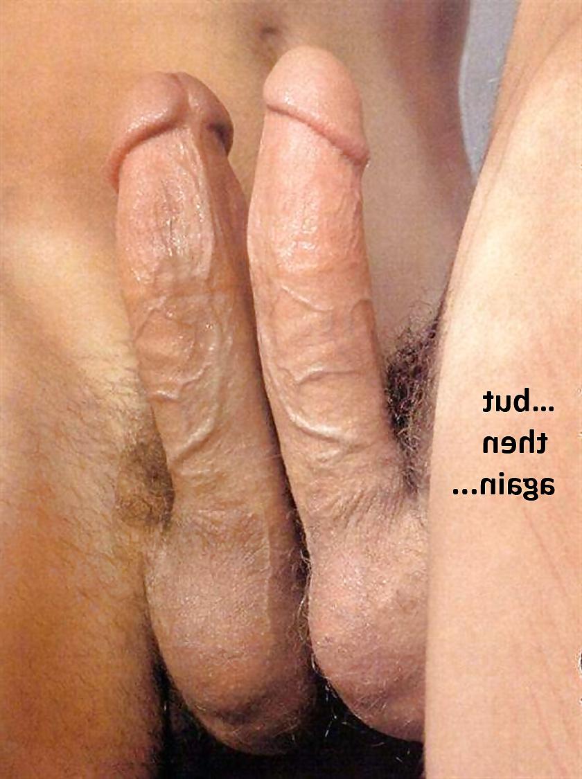 14P Test how gay you are