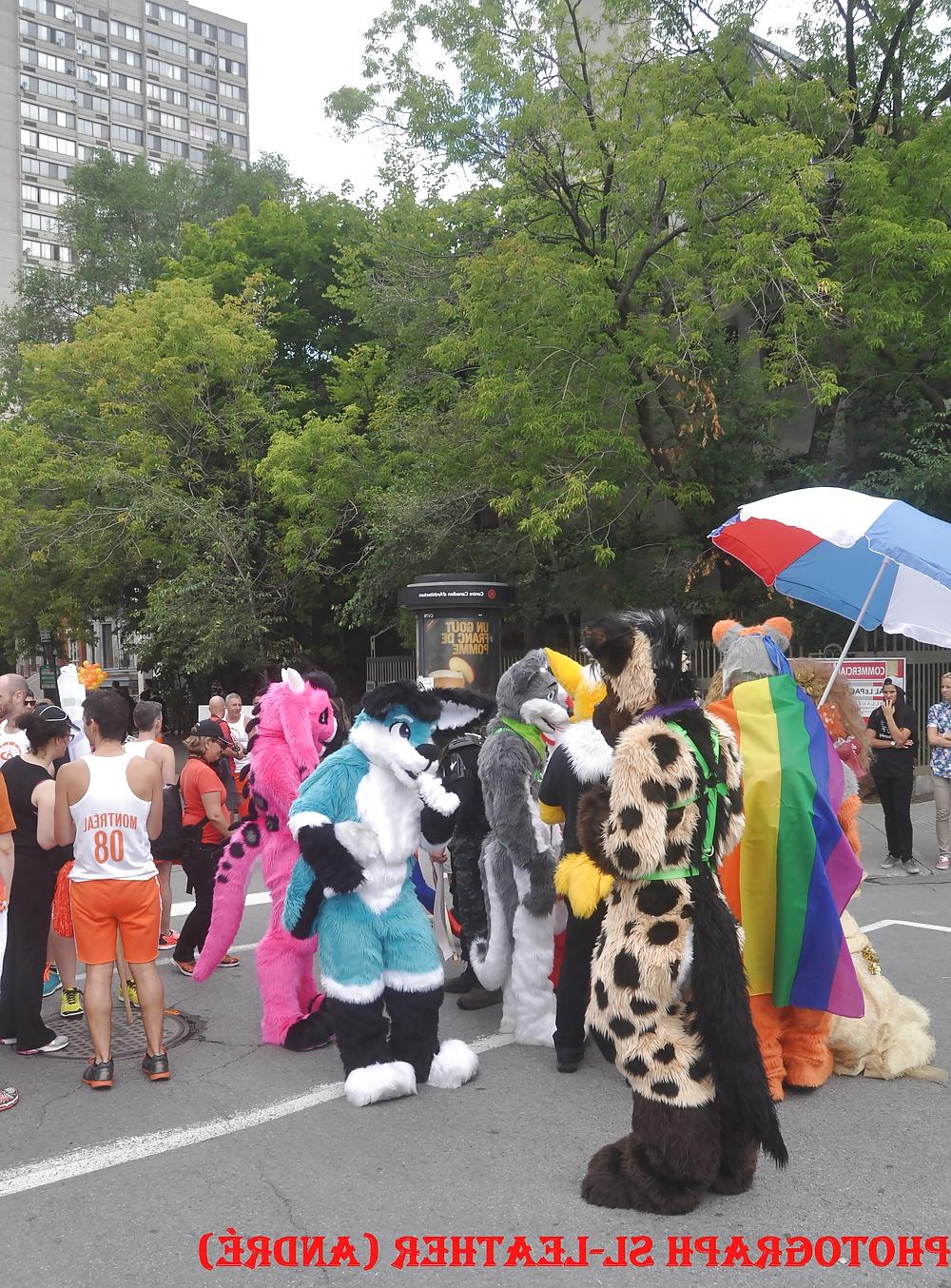 25P GAY PRIDE PARADE 2014 