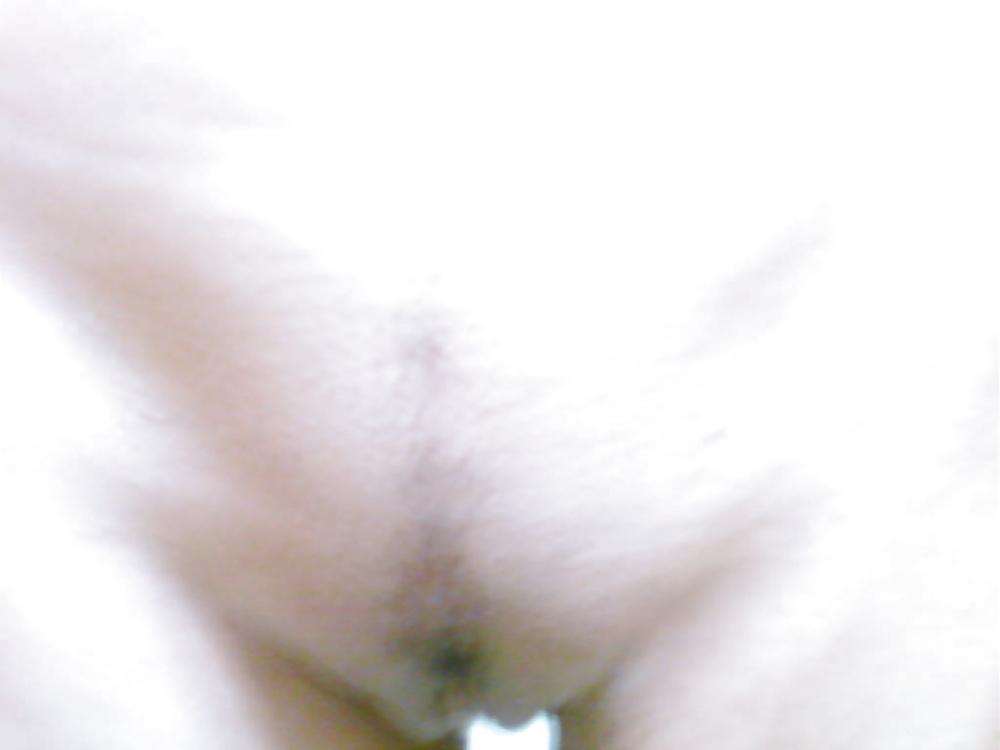16P Hot Persian Petite 
