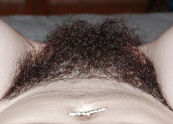 4P Boobs and hairy women