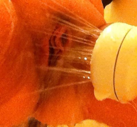 13P Married woman shows us her stuff