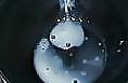 12P Addicted To Sperm