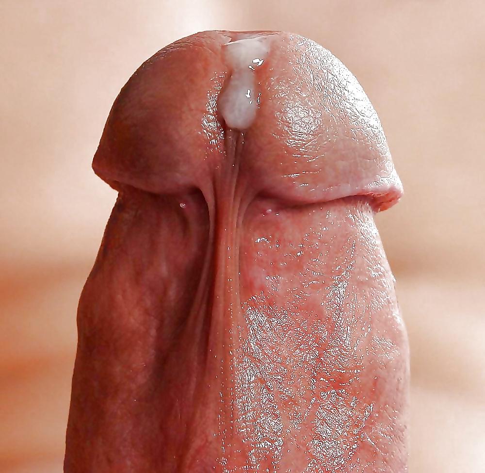 25P Best of Sperm 1.