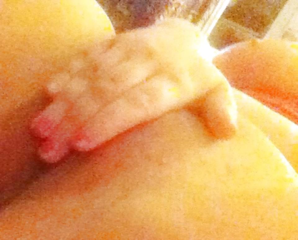 17P Amazing Girl With Huge Tits