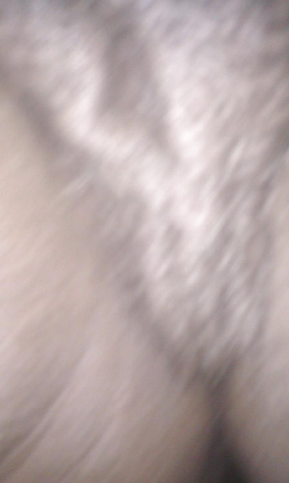 5P Chicago bbw 