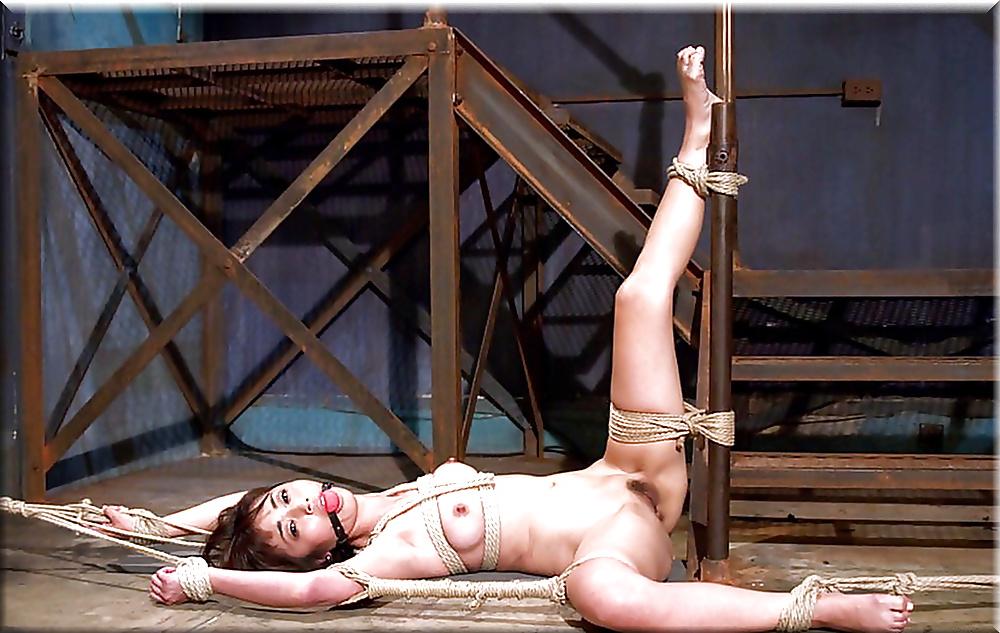 25P Lion's: Best of Bondage - Pleasure and Pain! (1)