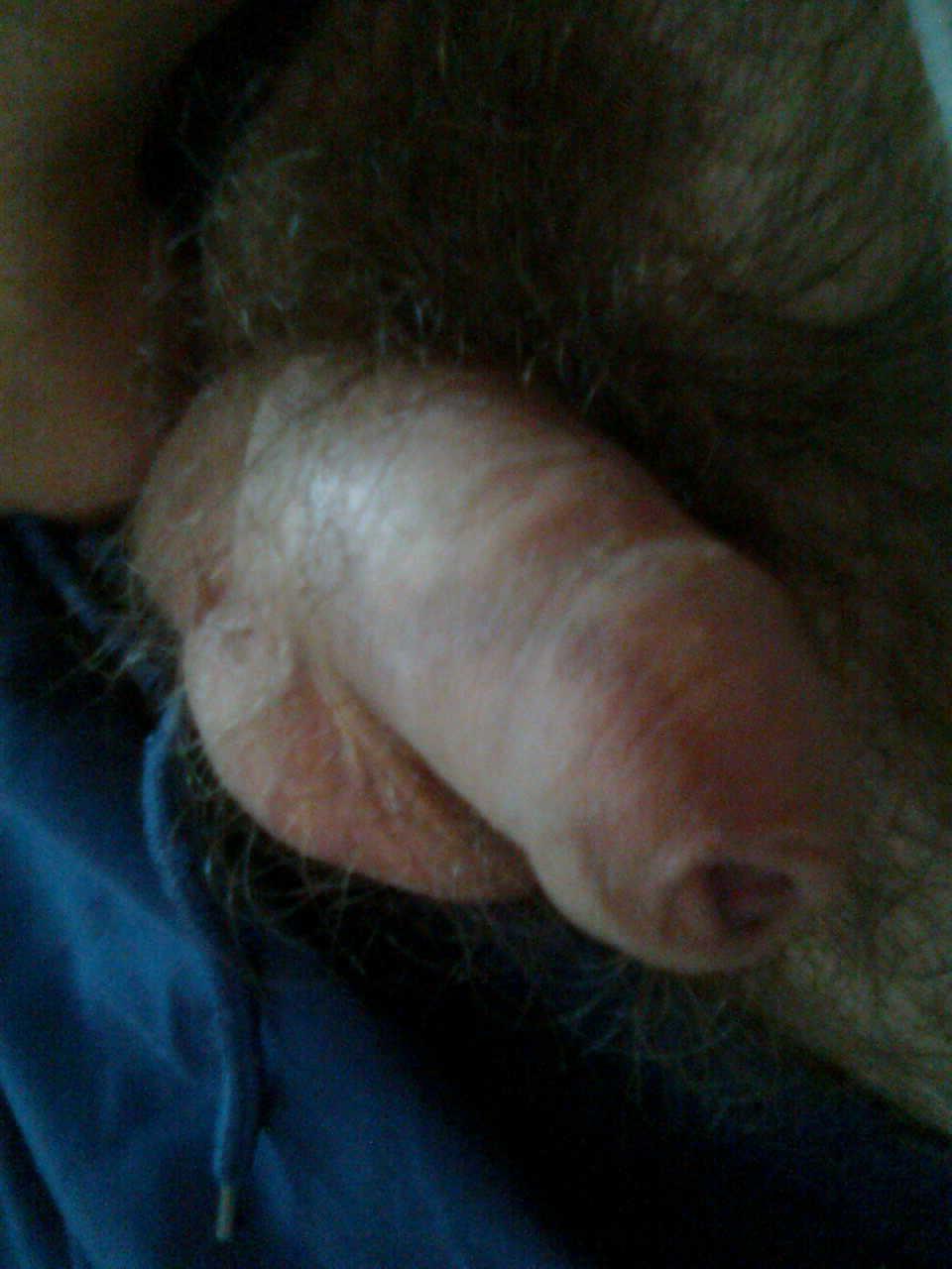 7P Gay, cock