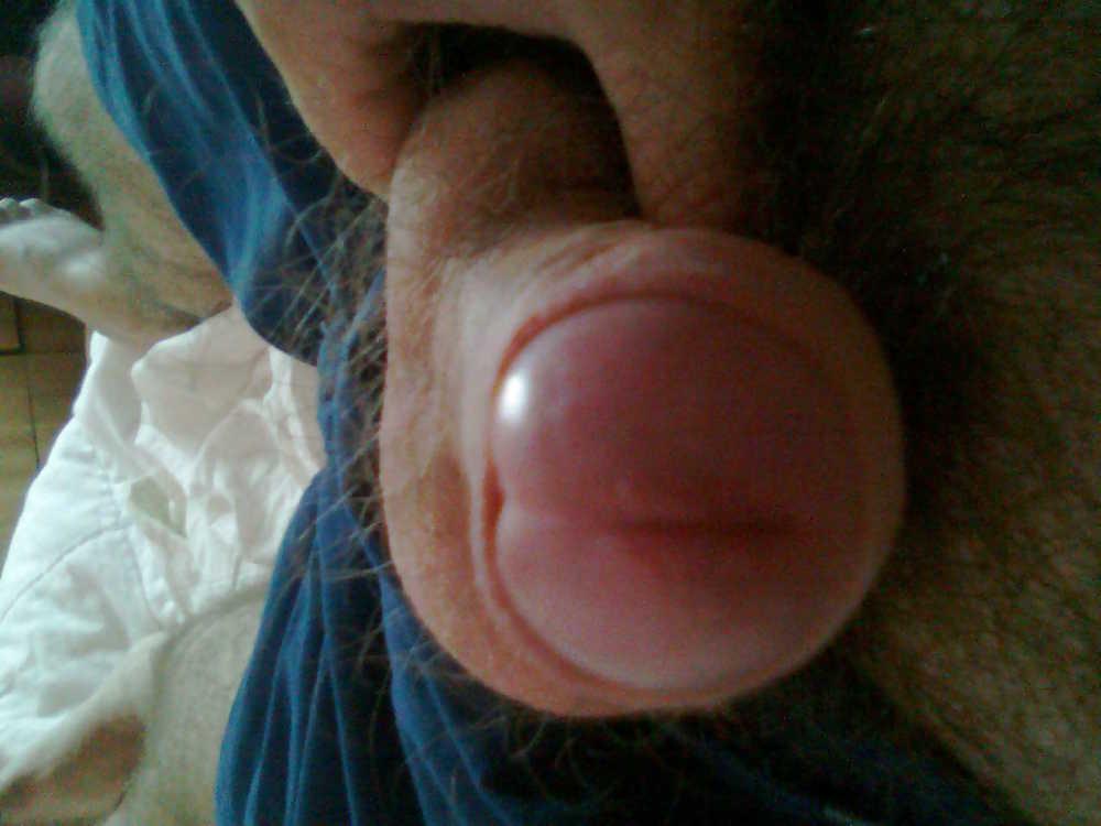 7P Gay, cock