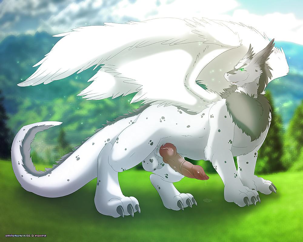 25P Gay Furry