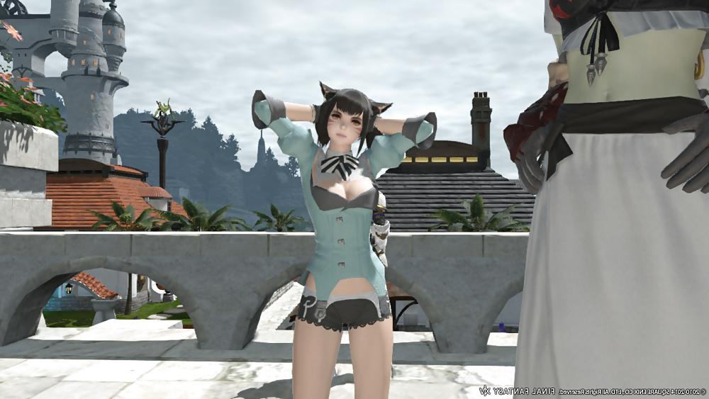 25P Hot Final Fantasy XIV Babes