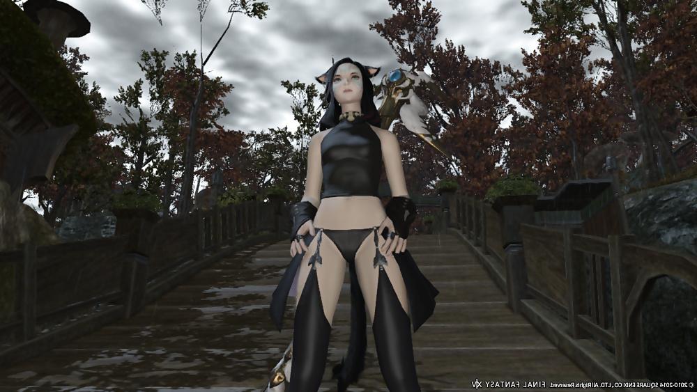 25P Hot Final Fantasy XIV Babes