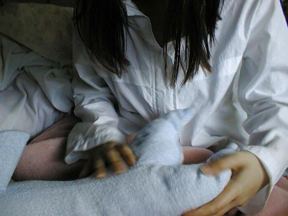 20P Japanese Girl Friend 222 - misato 4