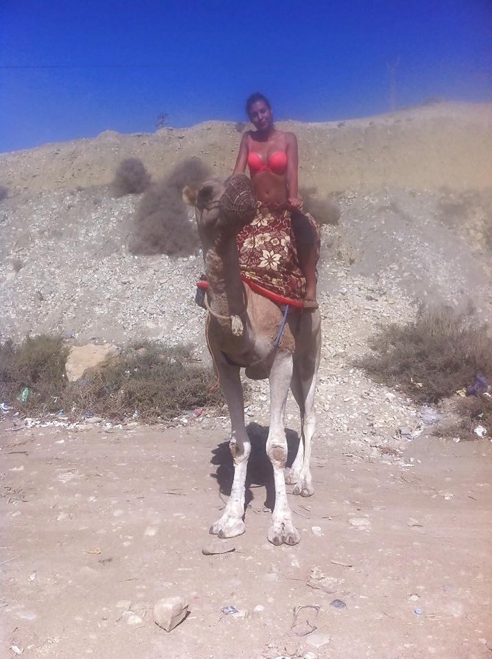 20P Arabische Beurette-Chienne-Salope