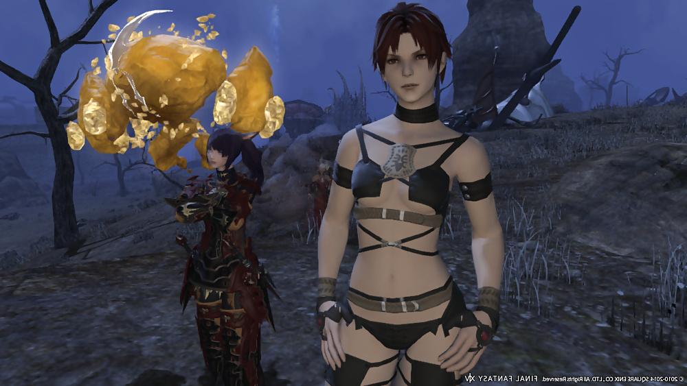 25P More Sexy FFXIV Babes