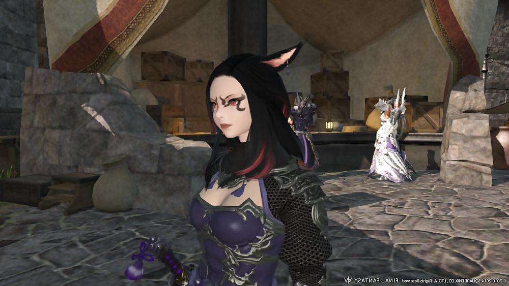 25P More Sexy FFXIV Babes