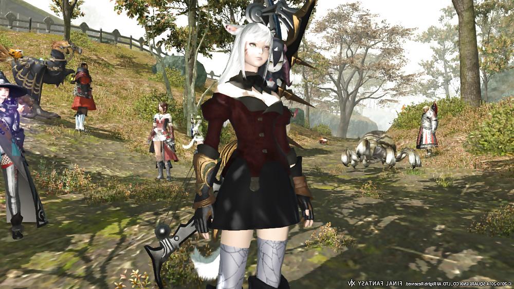 25P More Sexy FFXIV Babes