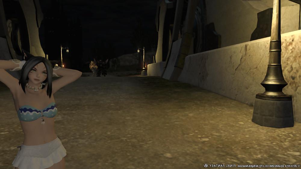25P More Sexy FFXIV Babes