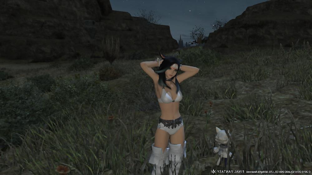 25P More Sexy FFXIV Babes