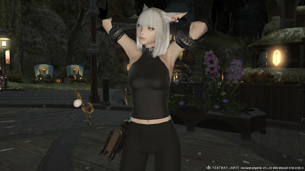 25P More Sexy FFXIV Babes