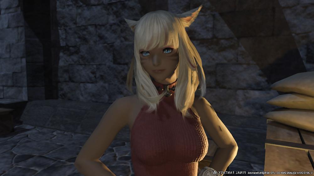 25P More Sexy FFXIV Babes
